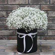 Цветочная композиция из Гипсофила в шляпной коробке #REPLACE_PRED# Октябрьский Пермский край